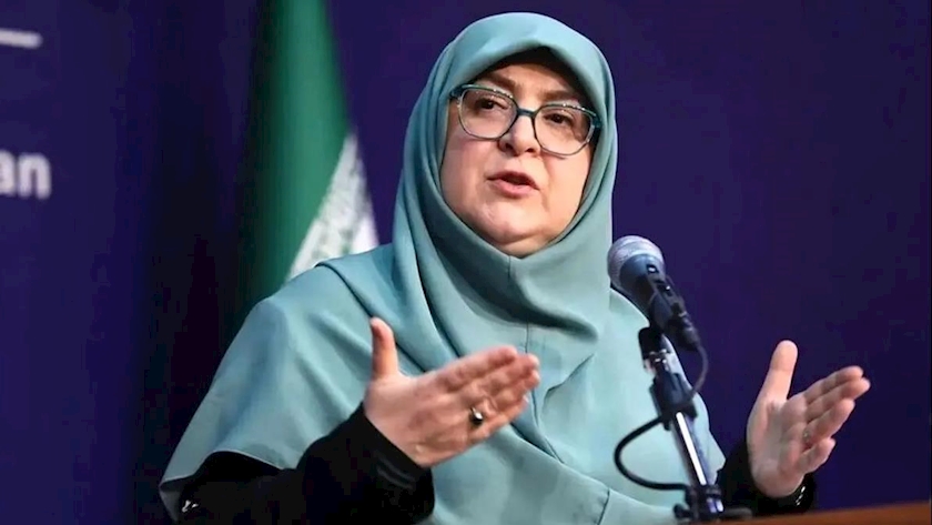 Iranpress: مهاجرانی: فاجعه غزه نتیجه تفرقه میان مسلمانان است