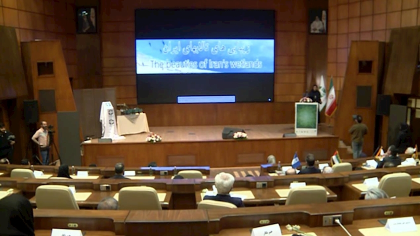 Iranpress: از حقابه تا دیپلماسی محیط‌زیست؛ برنامه‌های دولت برای حفاظت از تالاب‌ها