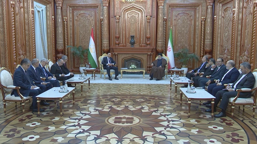 Iranpress: دیدار رئیس مجلس نمایندگان تاجیکستان با رئیس جمهوری ایران