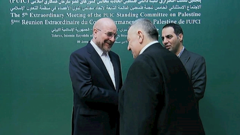 Iranpress: ببینید: استقبال قالیباف ازمهمانان نشست کشورهای عضو سازمان همکاری اسلامی درباره فلسطین