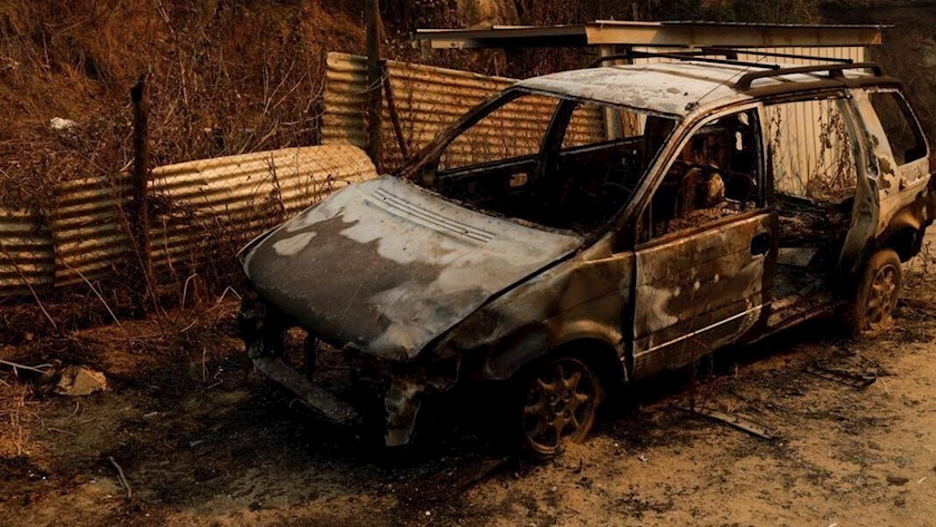 Iranpress: تداوم آتش سوزی‌های جنگلی در شیلی، 112 نفر کشته شدند