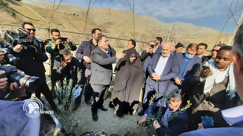 Iranpress: کاشت نهال به یاد شهدای مظلوم غزه
