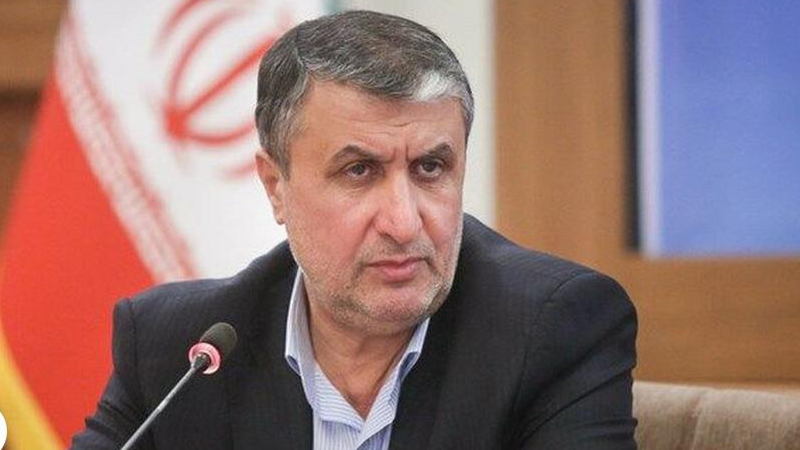 Iranpress: تاکید رییس سازمان انرژی اتمی بر ضرورت افزایش کمی و کیفی رادیو داروها