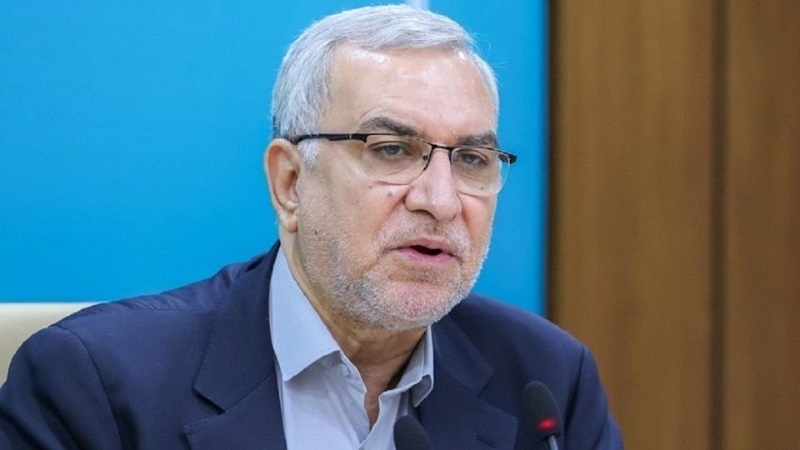 Iranpress: عین‌اللهی: درمان رایگان سرطان، از اهداف وزارت بهداشت است