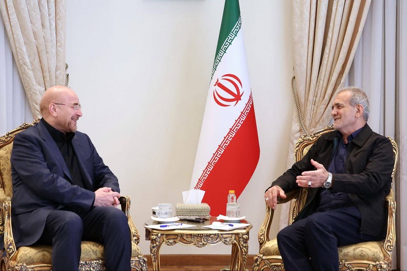 Iranpress: دیدار قالیباف با رئیس جمهور منتخب/ تاکید بر حمایت مجلس از دولت چهاردهم 