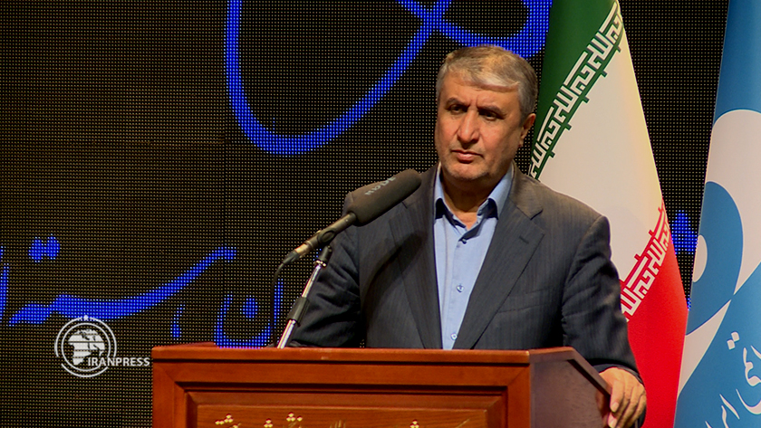 Iranpress: رئيس سازمان انرژي اتمي: نظام استكبار مخالف پيشرفت صنعت هسته اي ايران است