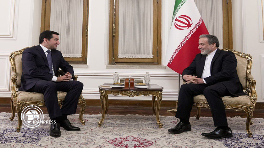Iranpress: دیدار دستیار رئیس جمهور آذربایجان با وزیر امور خارجه 