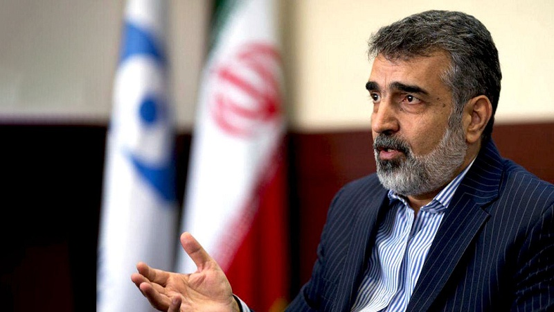 Iranpress: کمالوندی: ایران تنها کشوری نیست که غنی‌سازی می‌کند، اما سلاح هسته‌ای ندارد