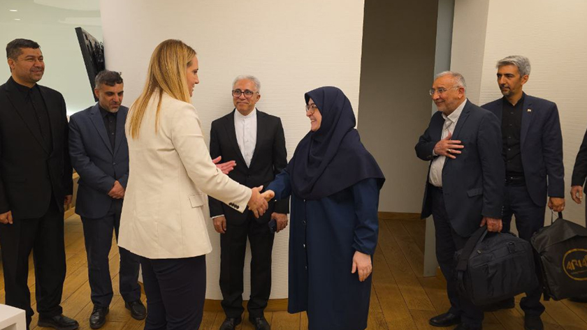 Iranpress: سفر سخنگوی دولت ایران به بوسنی و هرزگوین