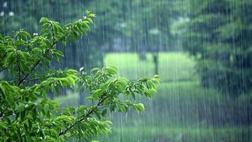 Iranpress: رگبار باران در تهران/ کاهش دما طی امروز و فردا