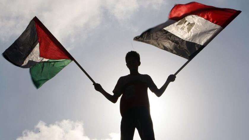 Iranpress: تلاش شهروندان مصری برای کمک به مردم غزه
