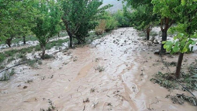 Iranpress: هشدار هواشناسی مازندران/ سیل در راه است