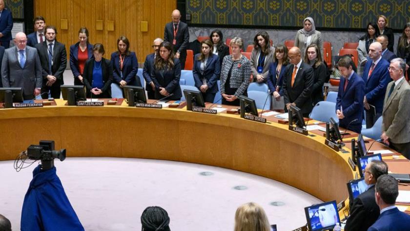 Iranpress: برگزاری نشست شورای امنیت درباره تحولات غزه