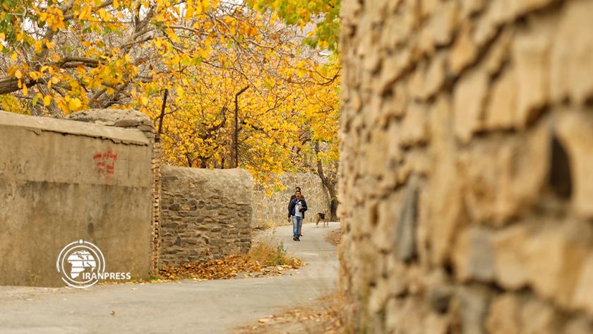 Iranpress: گردشگری در پاییز رنگارنگ همدان