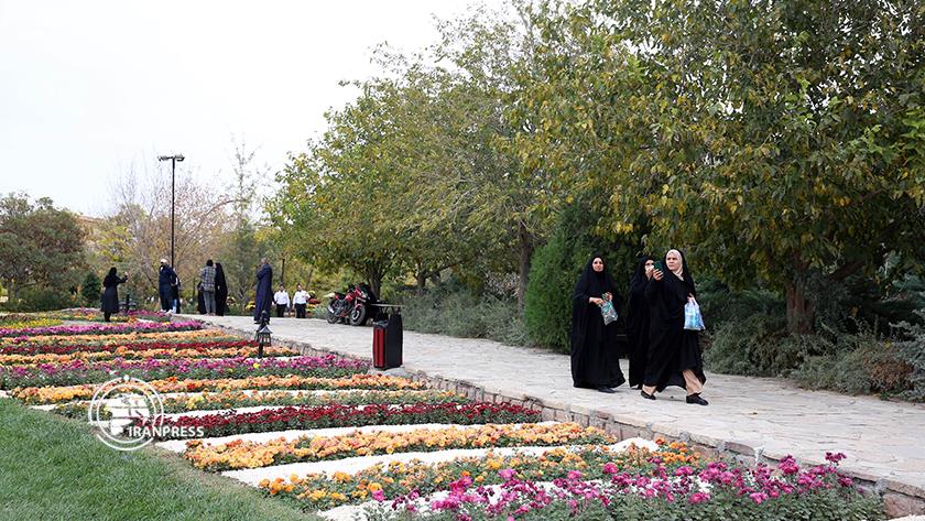 Iranpress: گذر گردشگری با رنگ و طعم پاییزی در باغ مشهد 