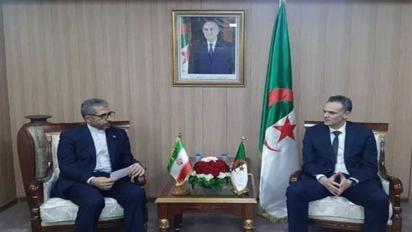Iranpress: نهایی‌سازی پیش‌نویس برنامه اجرایی همکاری‌های ورزشی میان ایران و الجزایر
