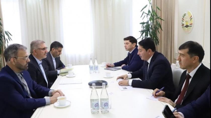 Iranpress: آمادگی شرکت‌های ایران برای همکاری با تاجیکستان در بخش‌های مختلف اقتصادی