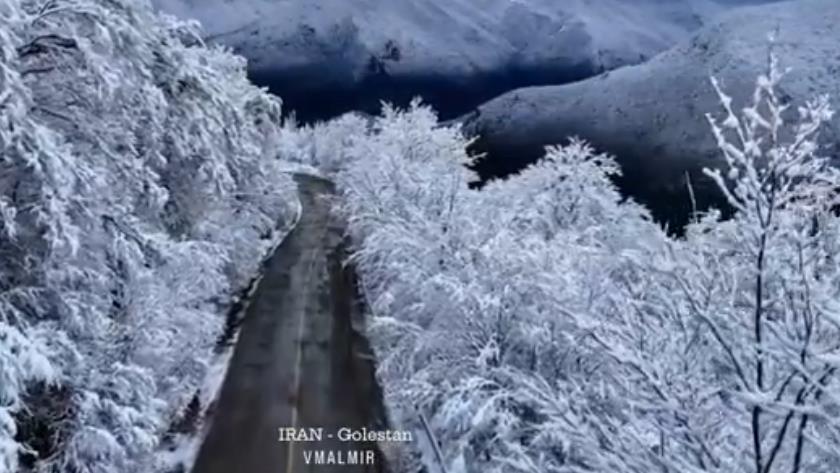 Iranpress: ببینید: جلوه ای زیبا از جنگل‌های گلستان پس از بارش برف