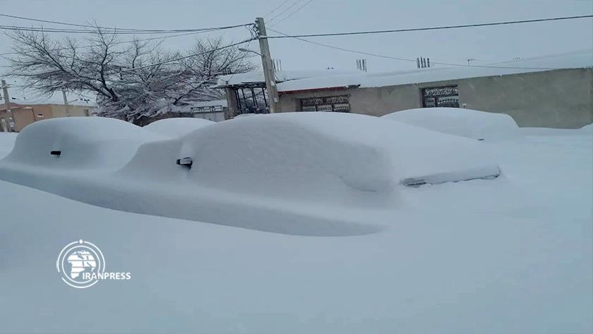 Iranpress: بارش شدید برف؛ ورزقان کاملا سفیدپوش شد 
