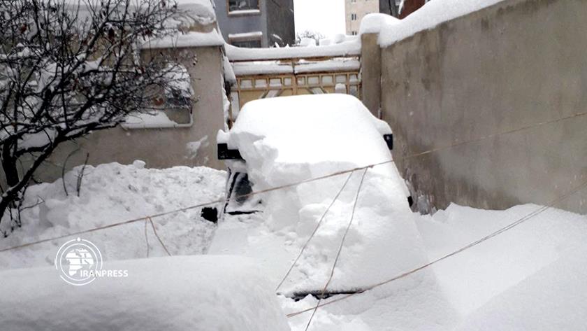 Iranpress: بارش زیبای برف در اردبیل 