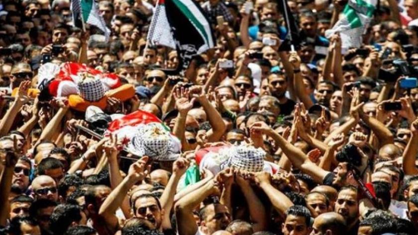 Iranpress: شهادت ۱۳ فلسطینی در حملات صهیونیست‌ها به جنوب غزه