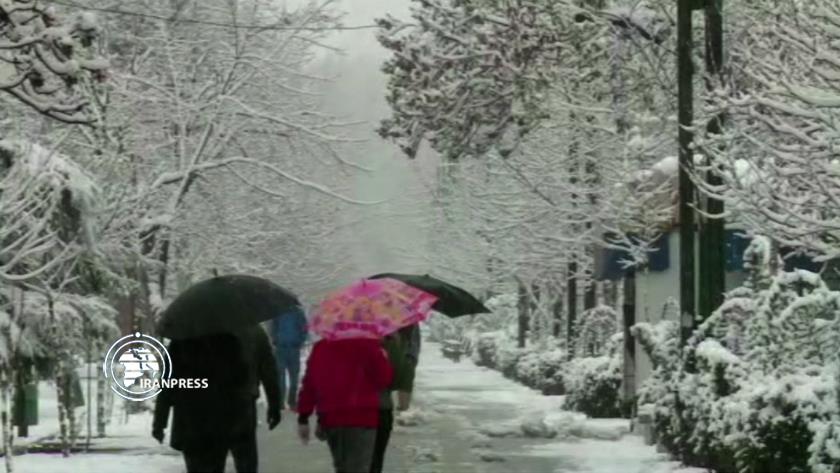 Iranpress: ببینید: صحنه های زیبایی از بارش برف در تهران
