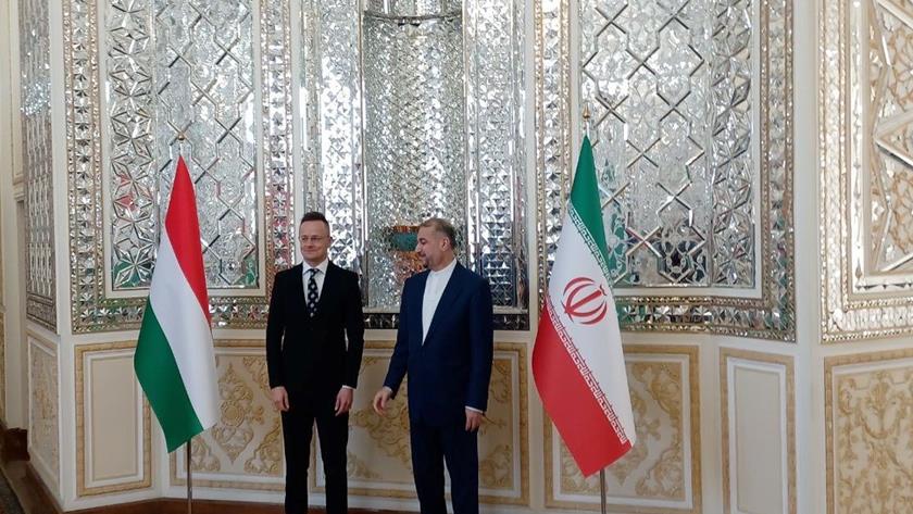 Iranpress: استقبال وزير امورخارجه ایران از همتاي مجارستانی