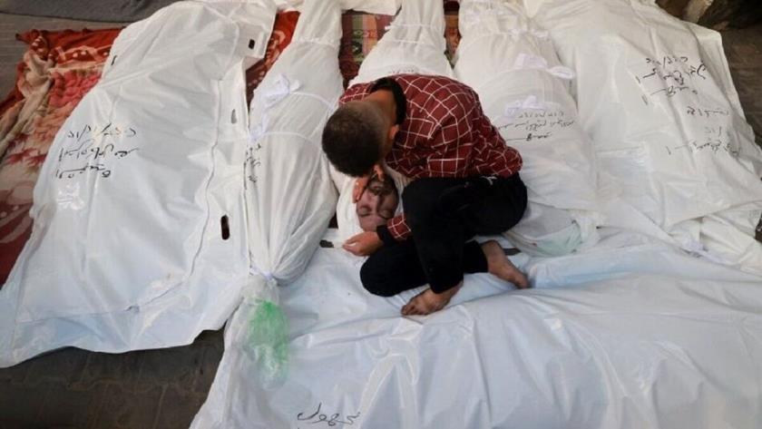 Iranpress: 30 هزار نفر در غزه به شهادت رسیده‌اند