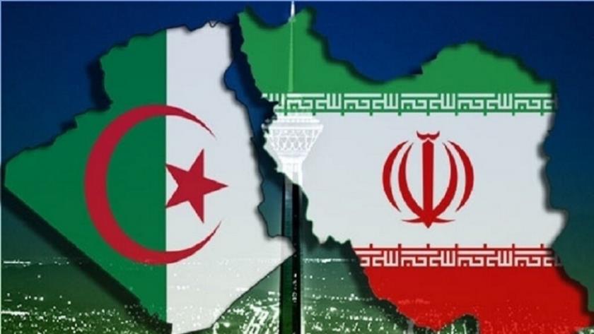 Iranpress:  توسعه همکاری‌های ایران و الجزایر در زمینه‌ شرکت‌های دانش بنیان