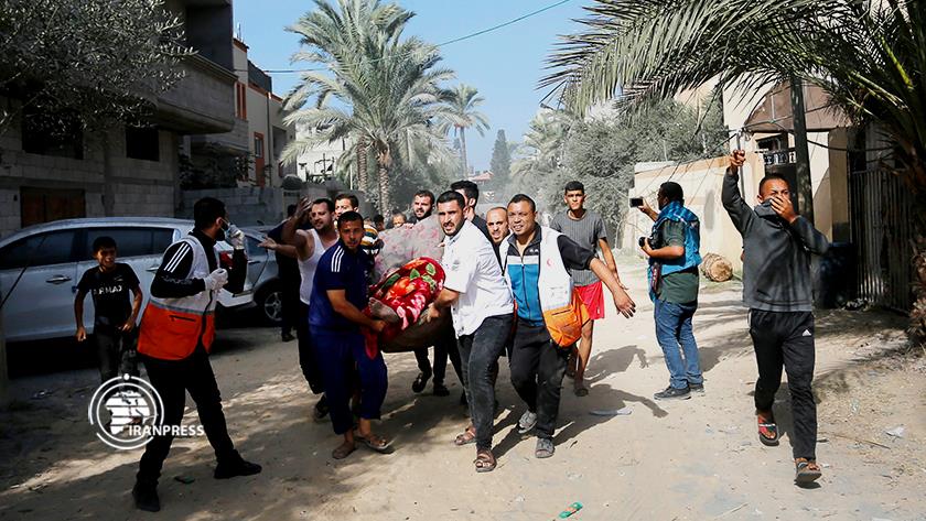 Iranpress: افزایش آمار شهدای غزه به بیش از ۳۲ هزار نفر