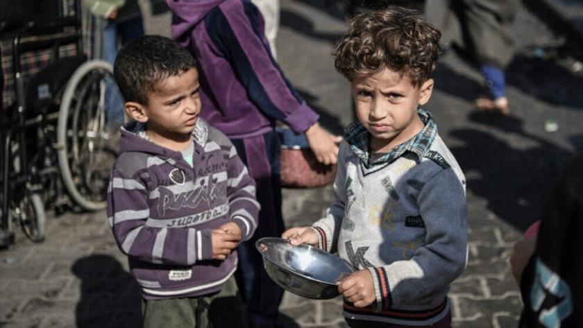 Iranpress: ناامنی غذایی بیش از یک میلیون نفر در غزه