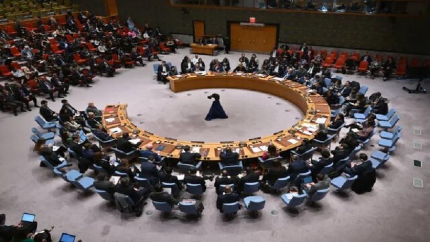 Iranpress: عضویت دائم فلسطین در سازمان ملل روی میز شورای امنیت