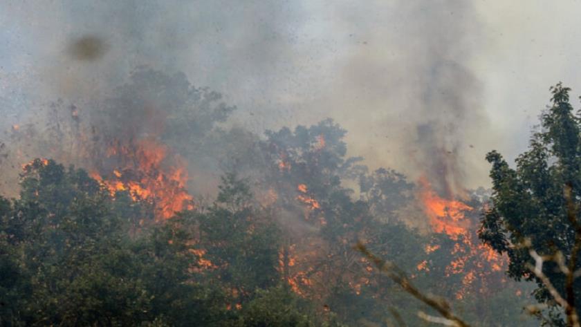 Iranpress: وقوع بیش از ۱۷۰۰ فقره آتش‌سوزی در عرصه‌های منابع طبیعی طی سال گذشته
