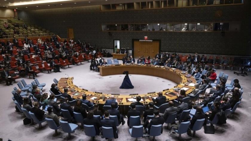 Iranpress: آمریکا؛ مانع اصلی عضویت کامل فلسطین در سازمان ملل