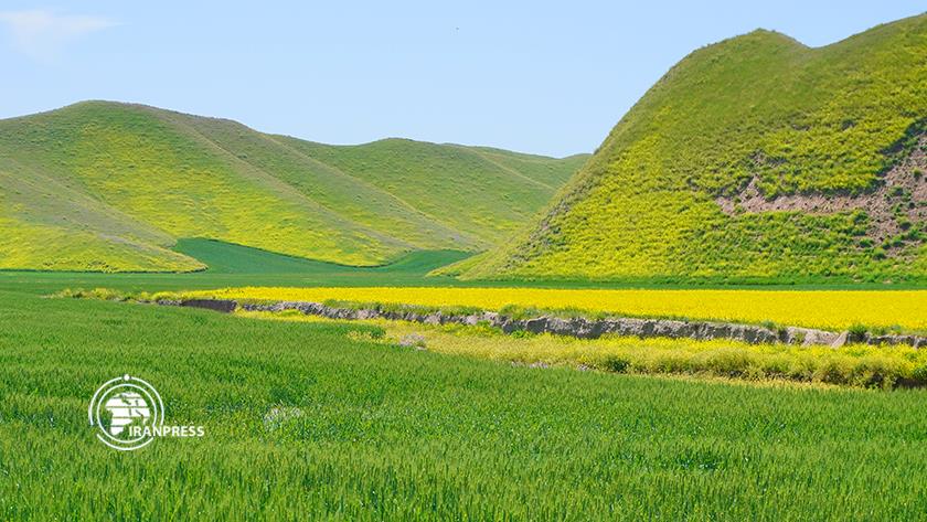 Iranpress: تپه ماهورهای هزار دره؛ بهشت شگفت‌انگیز گردشگری گلستان