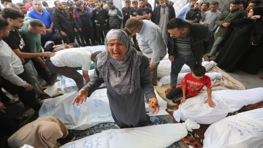 Iranpress: شمار شهدای غزه فراتر از۳۴ هزار نفر رفت