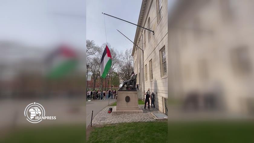 Iranpress: اهتزاز پرچم فلسطین در دانشگاه هاروارد توسط دانشجویان