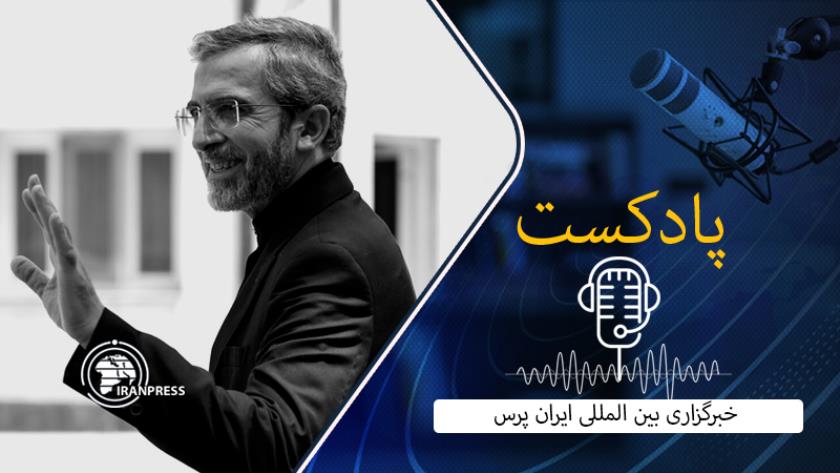 Iranpress: دیپلماسی فعال ایران در بریکس و سازمان همکاری شانگهای