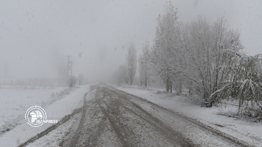 Snow in Silvana region of Urmia/Photo by Najib Abdemajdi