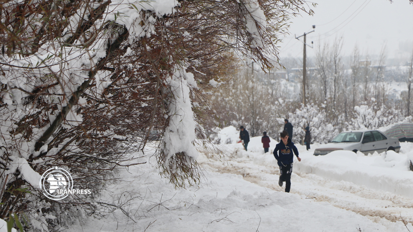 Snow in Silvana region of Urmia/Photo by Najib Abdemajdi