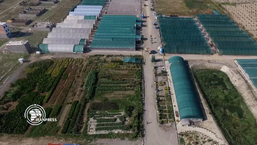 Farhikhtegan Greenhouse Town in Golestan Province