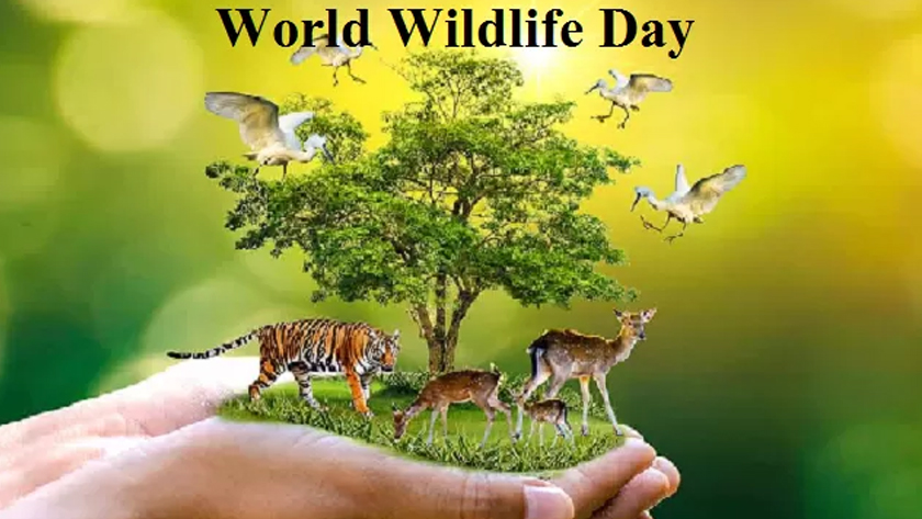 World Wildlife Day 2022: Fate of animal, plant species