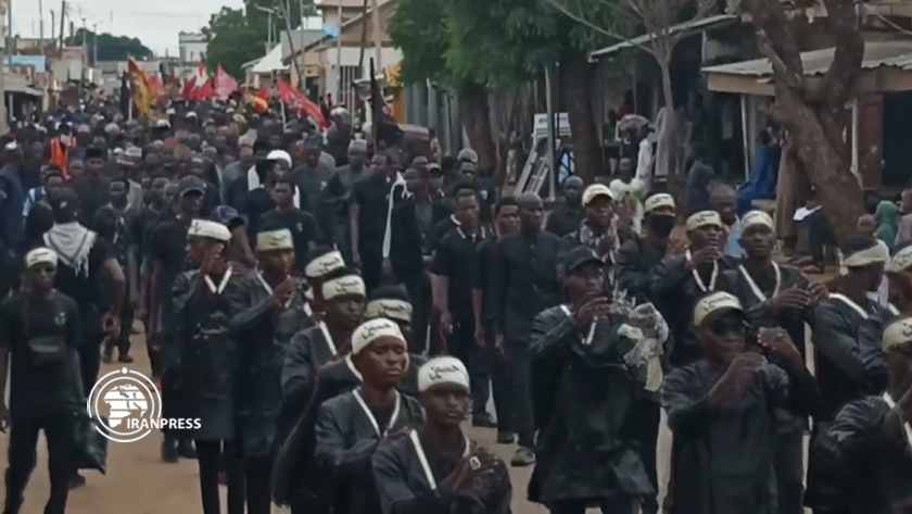 Thousands of Muslims in Potiskum, Nigeria Commemorate Ashura