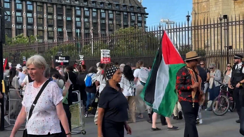 Supporters of Palestine Surround British Parliament