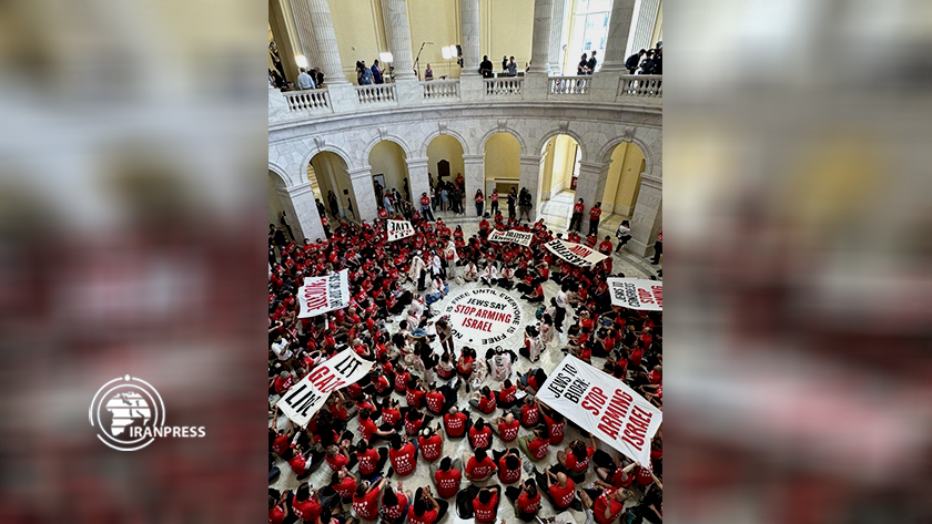 Palestine  Supporters Oppose Netanyahu's Speech in Congress