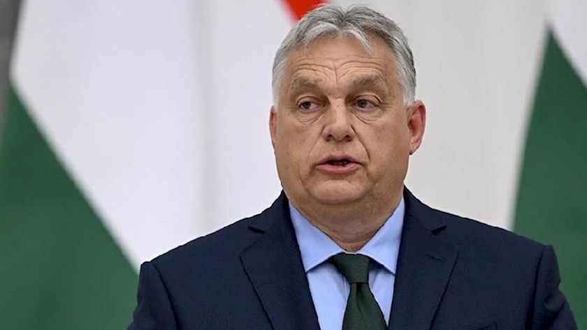 Olympics ceremony shows there is no morality in West: Hungarian premier