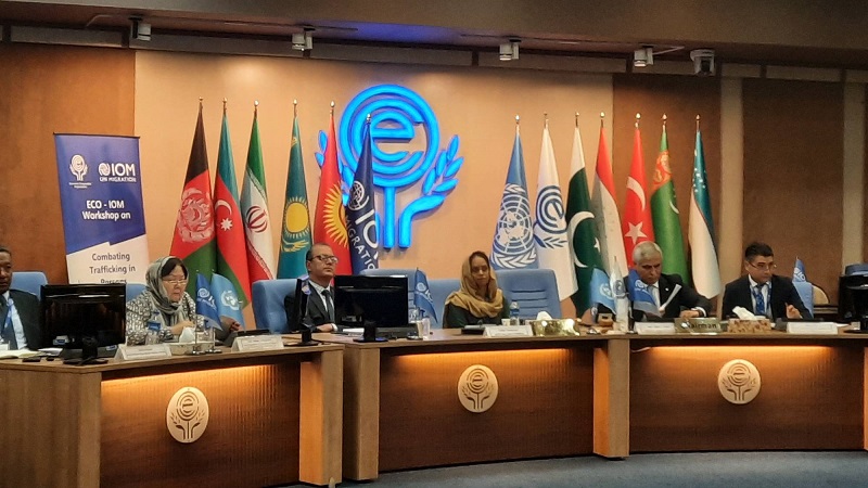 ECO-IOM Joint Workshop Kicks off in Tehran