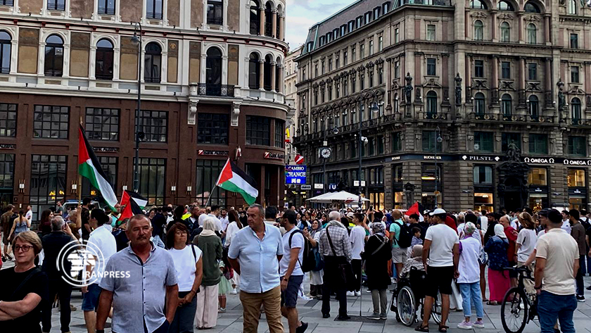 Demonstration of Solidarity with Gaza in Vienna