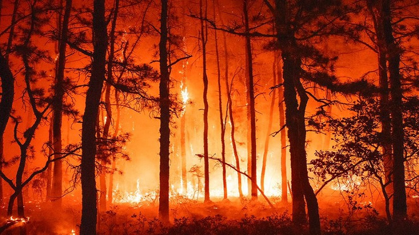 Greek Residents Evacuate as Wildfire Rages Amid Ongoing Heatwave