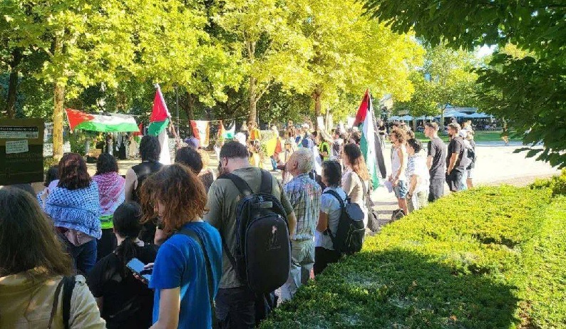 Pro-Palestine protests in Budapest